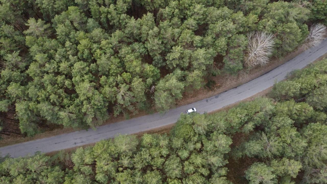 Duch Huszczy W Srodku Sosnowego Lasu Lomazy Exteriör bild